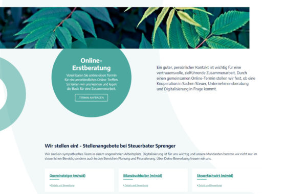 website steuerberater 3